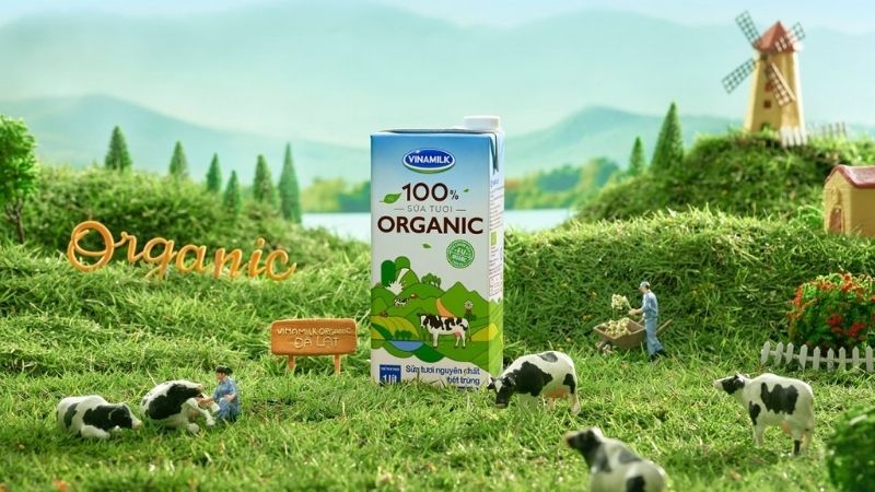 Cách phân biệt sữa tươi Vinamilk thật – giả