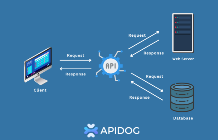 API Data Access: The Fastest Way to Deliver Real-Time Information